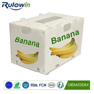 Sports Equipment and PPWR: The Disposable Kit Crate