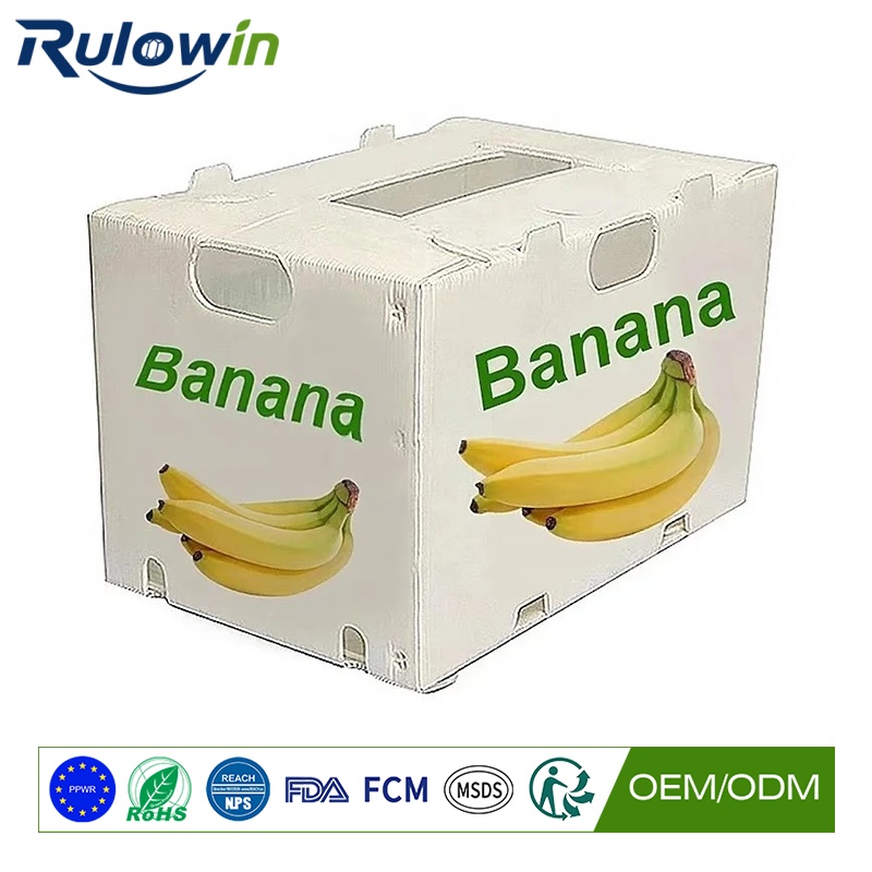 Sports Equipment and PPWR: The Disposable Kit Crate