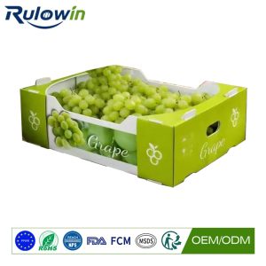 What Sunlight Does to Unstabilised Polypropylene