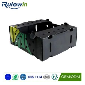 Crates for Produce That Ships with Ice
