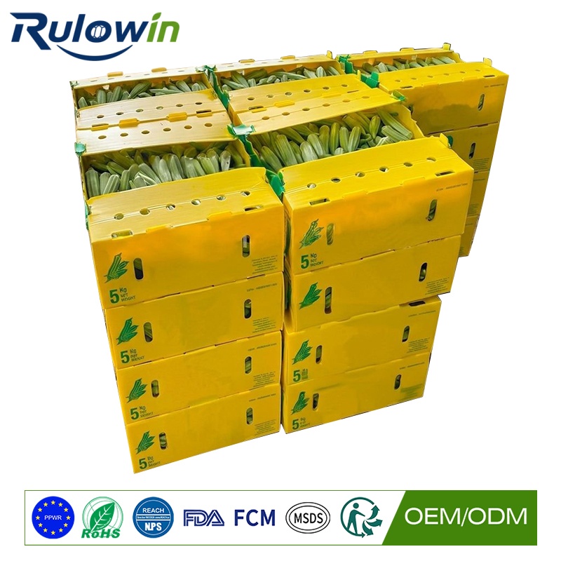 PP Corrugated Fruit & Veg Box thumbnail