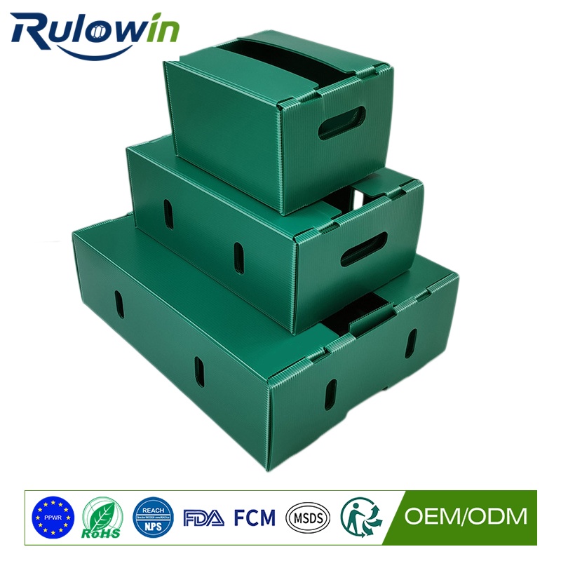 Wine and PPWR: The Bottle’s Disposable Box