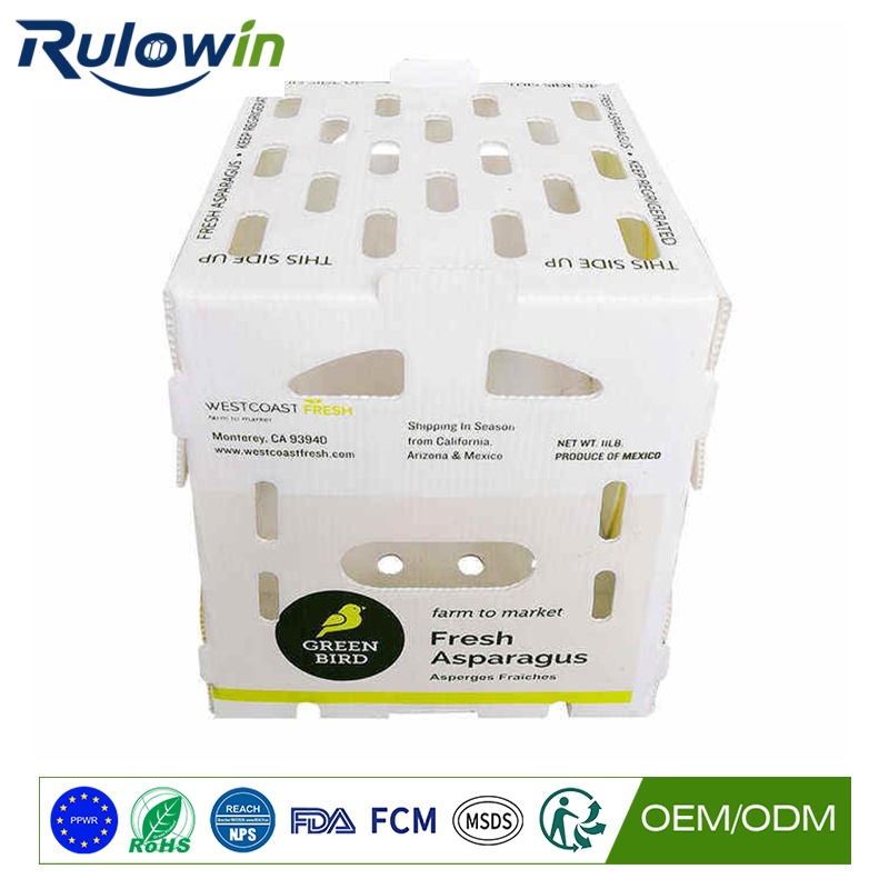 Cartons After the Wash Line: Why They Collapse