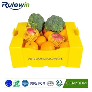 Frozen Food and PPWR: The Cold-Chain Crate That Should Return