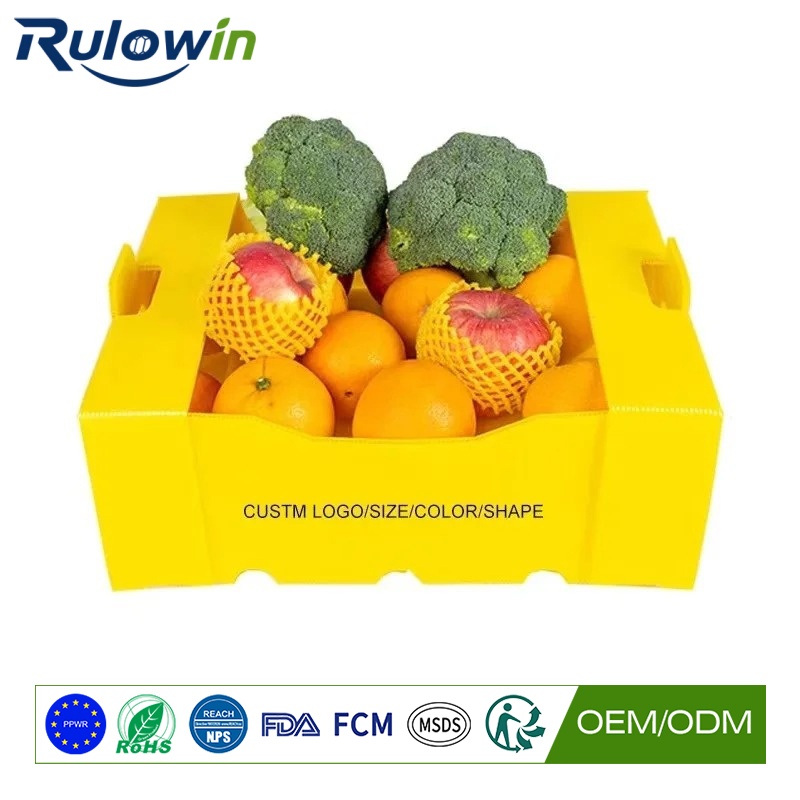 Frozen Food and PPWR: The Cold-Chain Crate That Should Return