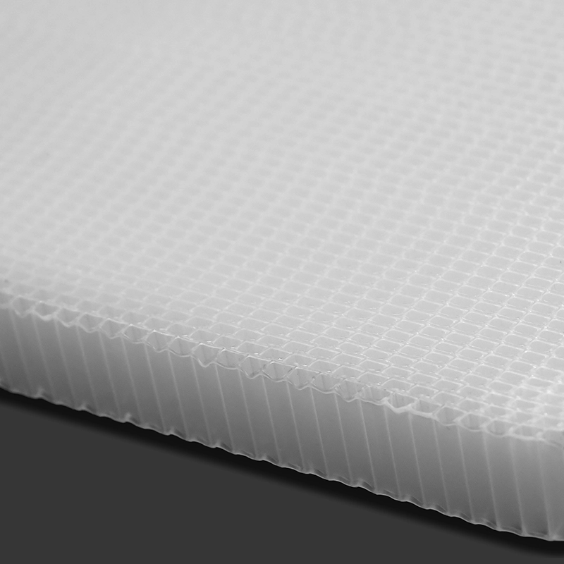 Custom Color PP Honeycomb Filter – Branded Filter Board for Equipment Makers